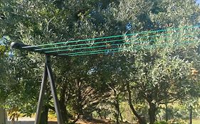 Petit Coin De Paradis En Provence